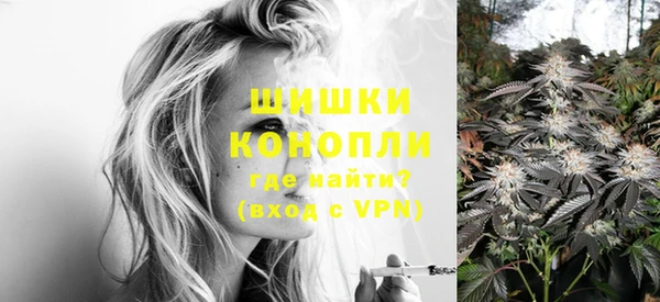 альфа пвп Новодвинск