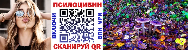 Галлюциногенные грибы Magic Shrooms маркетплейс наркотические препараты Всеволожск mega tor